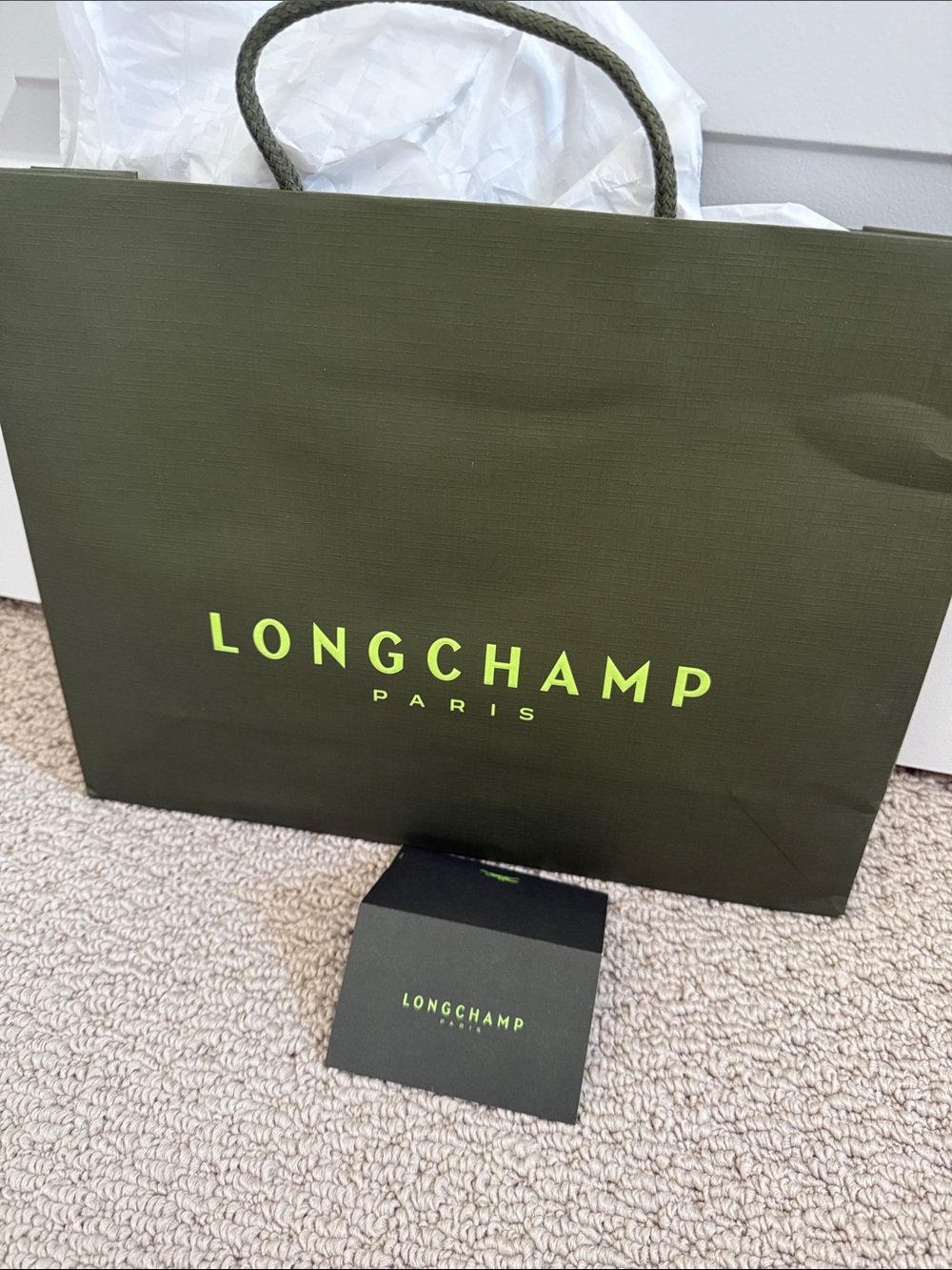 Longchamp Olive Green Bag